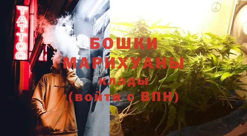 как найти наркотики  Кулебаки  Шишки марихуана White Widow 